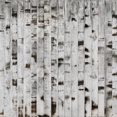 Metal Birch pattern image