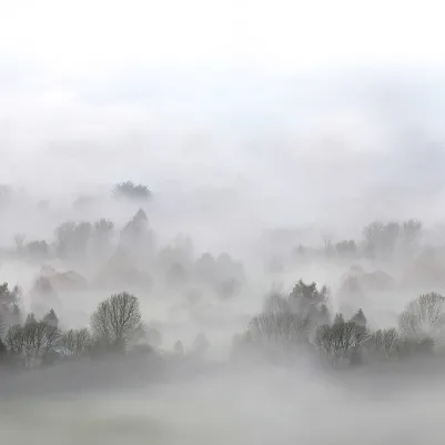Morning Fog pattern image