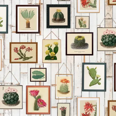 Cactus Wall Art pattern image