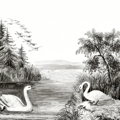 Swan Lake pattern image