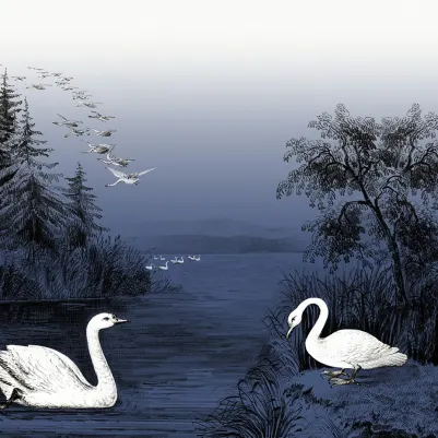 Swan Lake, Nightfall pattern image