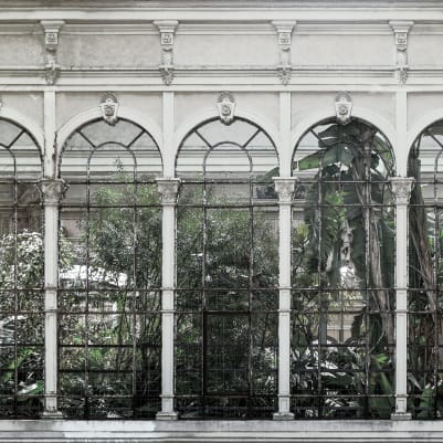 Dove Gardens, White pattern image