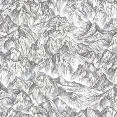 Moon Rock, Surface pattern image