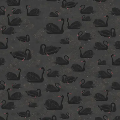 Cygne, Noir pattern image