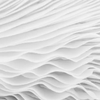 Flounce pattern image