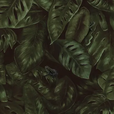 Cameroon, Fern pattern image
