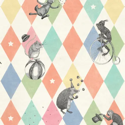 Circus Corner, Rainbow pattern image