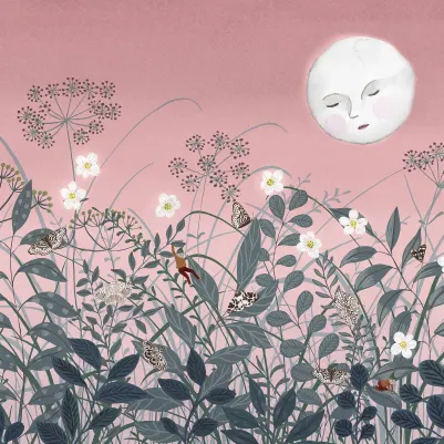 Pixie, Dawn pattern image