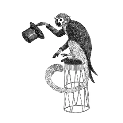 Circus Animal, Mr Monkey pattern image