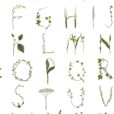 Floral Alphabet Mini English pattern image