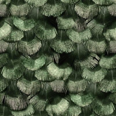 Petite Peackock Plumage, Jade pattern image
