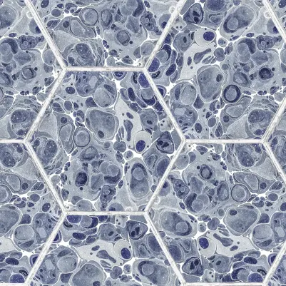 Marbled Hexagon Tiles, Dark Blue pattern image