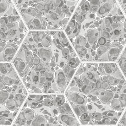 Marbled Hexagon Tiles, Gray pattern image