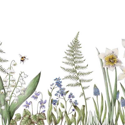 Bumblebee, White pattern image