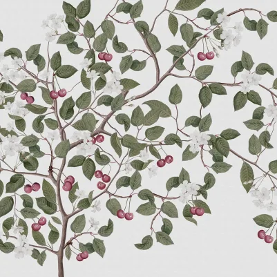 Cherries, White pattern image