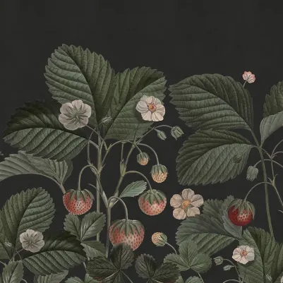 Wild Strawberries, Midnight pattern image