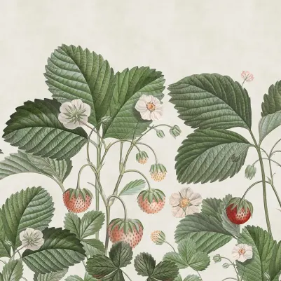 Wild Strawberries, Green pattern image