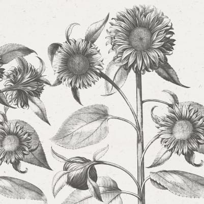 Sunflower, Beige pattern image