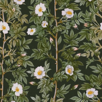 Rose Hip, Midnight pattern image
