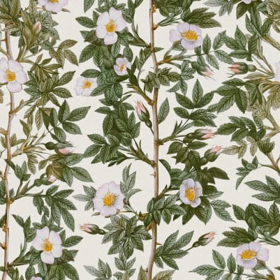 Rose Hip, Green pattern image