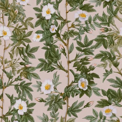 Rose Hip, Pink pattern image