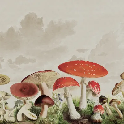 Mushrooms, Color pattern image