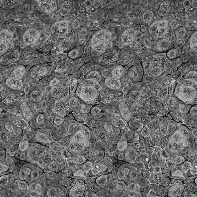 Marbling, Graphite pattern image
