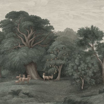 Jungle Forest, Dark pattern image