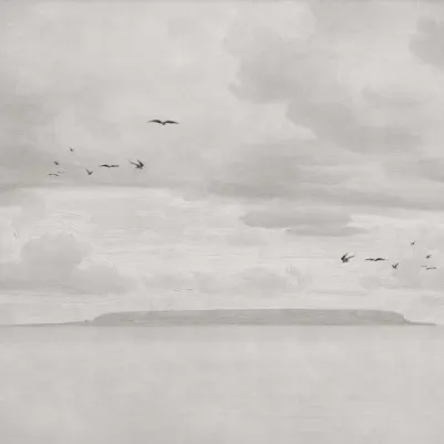 Seabirds, Beige pattern image