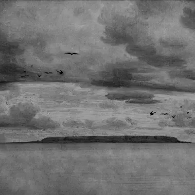 Seabirds,	Black & White pattern image