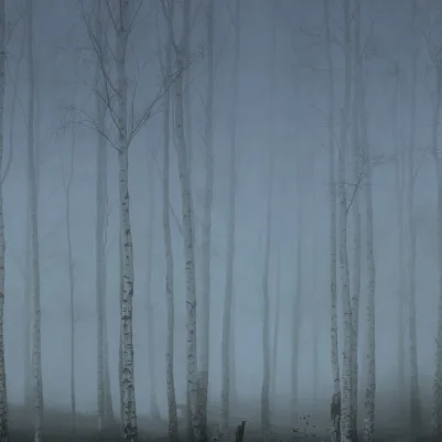 Birch Fog, Blue pattern image