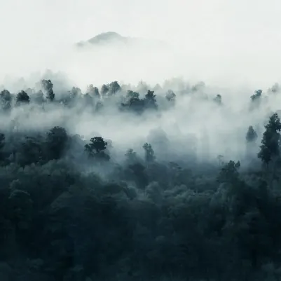 Misty Woodland, Blue pattern image