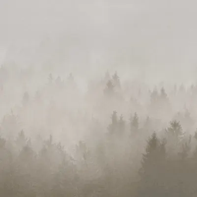 Cloudy Forest, Beige pattern image