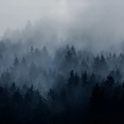 Cloudy Forest, Blue pattern image