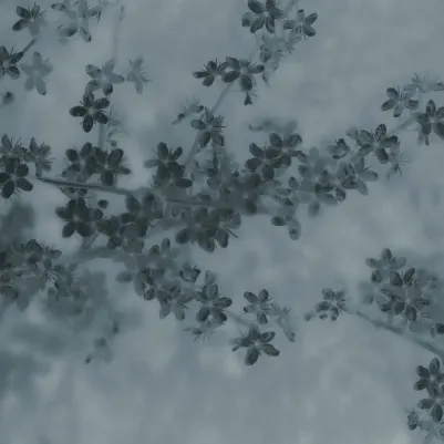 Apple Bloom, Blue pattern image
