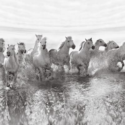 Running Horses pattern image