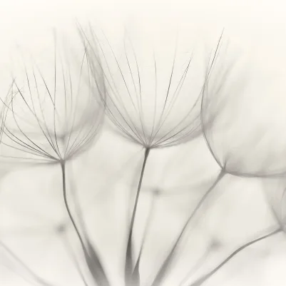 Soft Seeds pattern image