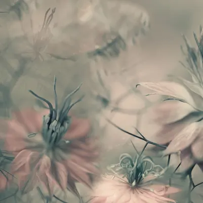 Vintage Blossoms pattern image