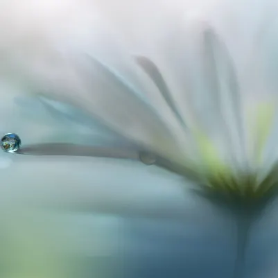 Raindrop pattern image