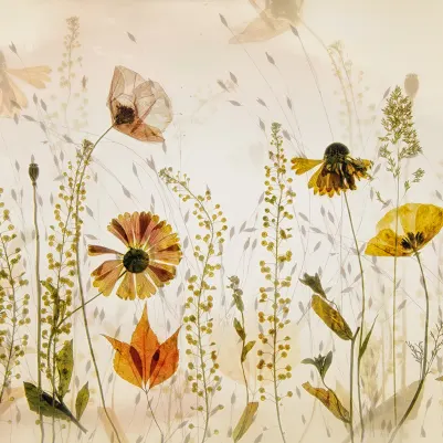 Midsummer Meadow pattern image