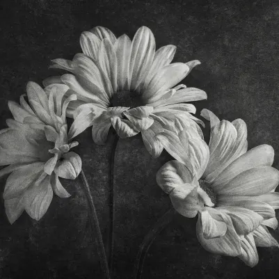 Graphic Flowers pattern image