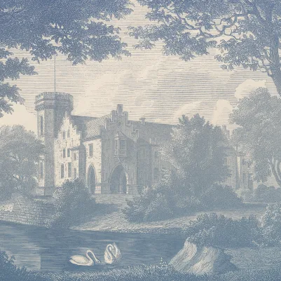 Swan Pond, Blue pattern image