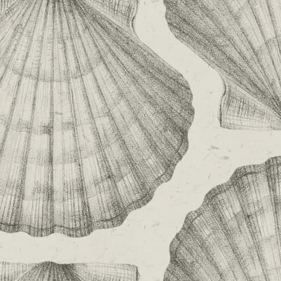 Shells, Sand pattern image