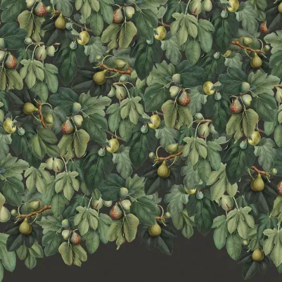 Fig Tree, Lush pattern image
