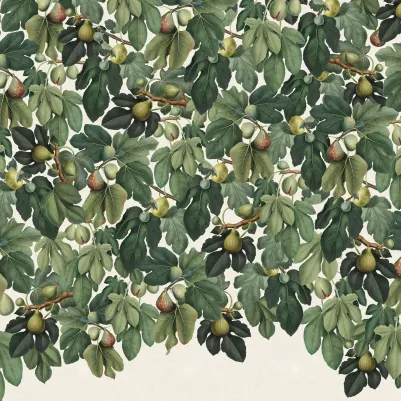Fig Tree, Green pattern image