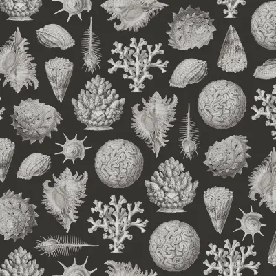 Seashells, Graphite pattern image
