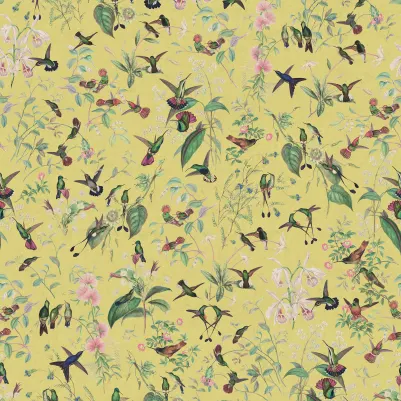 Hummingbird, Sunshine pattern image
