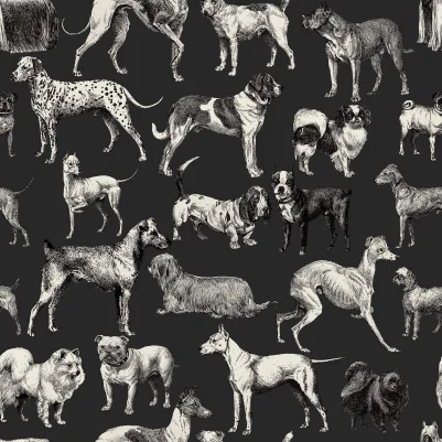 Dogs, Harlequin pattern image