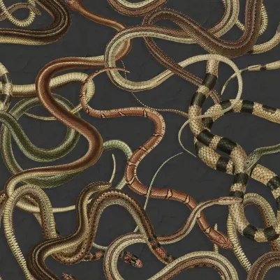 Snakey, Black pattern image