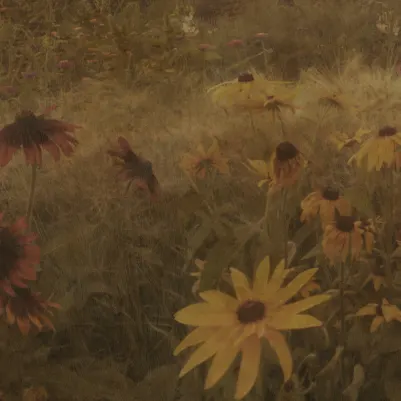 Dreamy Rudbeckia, Vintage pattern image